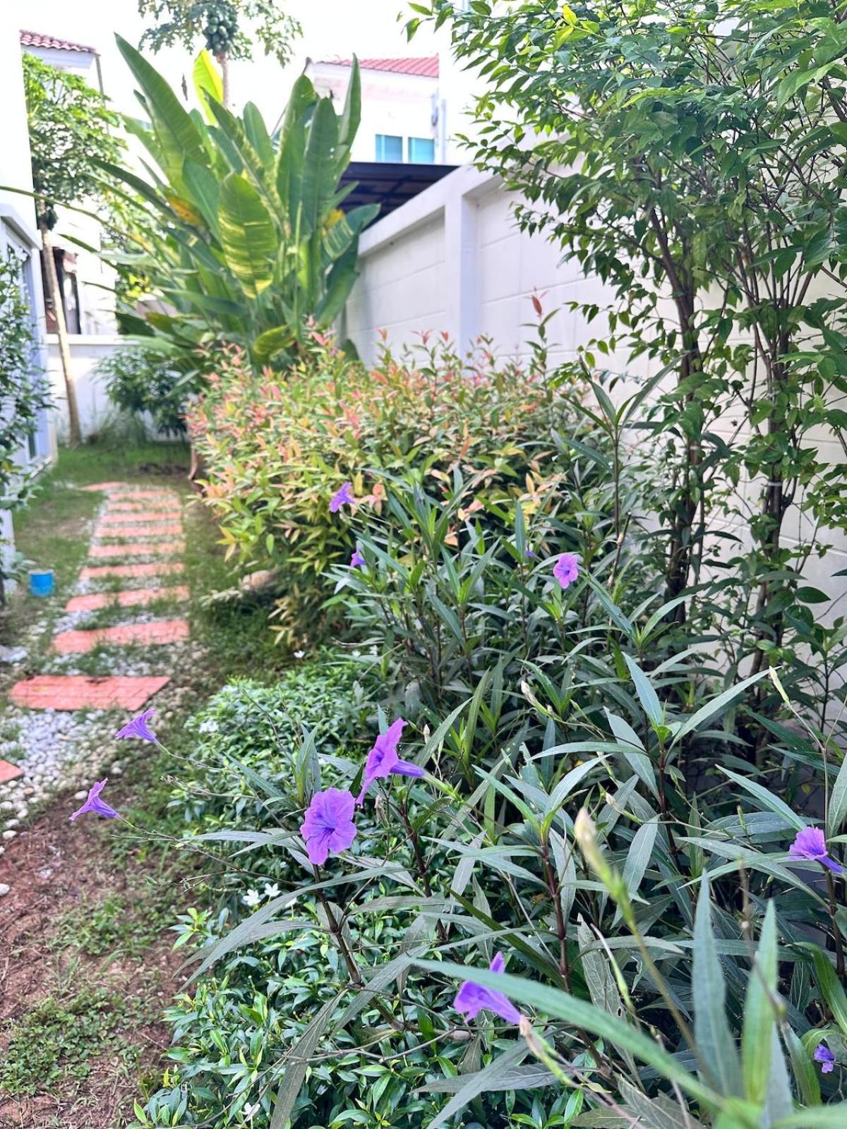 Sirihouse At Supalai Bella Thalang Holiday home Phuket